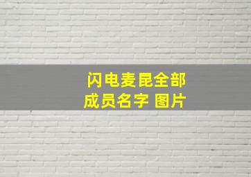 闪电麦昆全部成员名字 图片